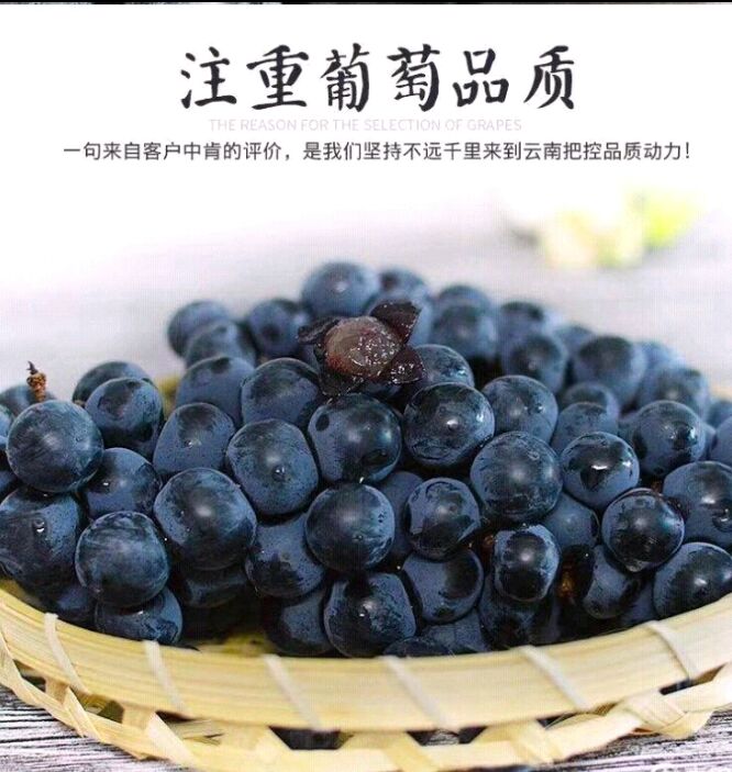 果园 40亩葡萄园转租！(夏黑)