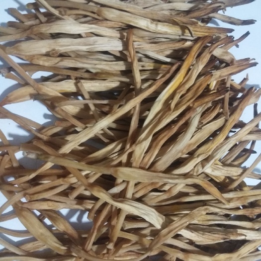 阳高县 大同六棱山脚下桑干河畔黑土地生长的黄花菜`金针菜，保证质量。