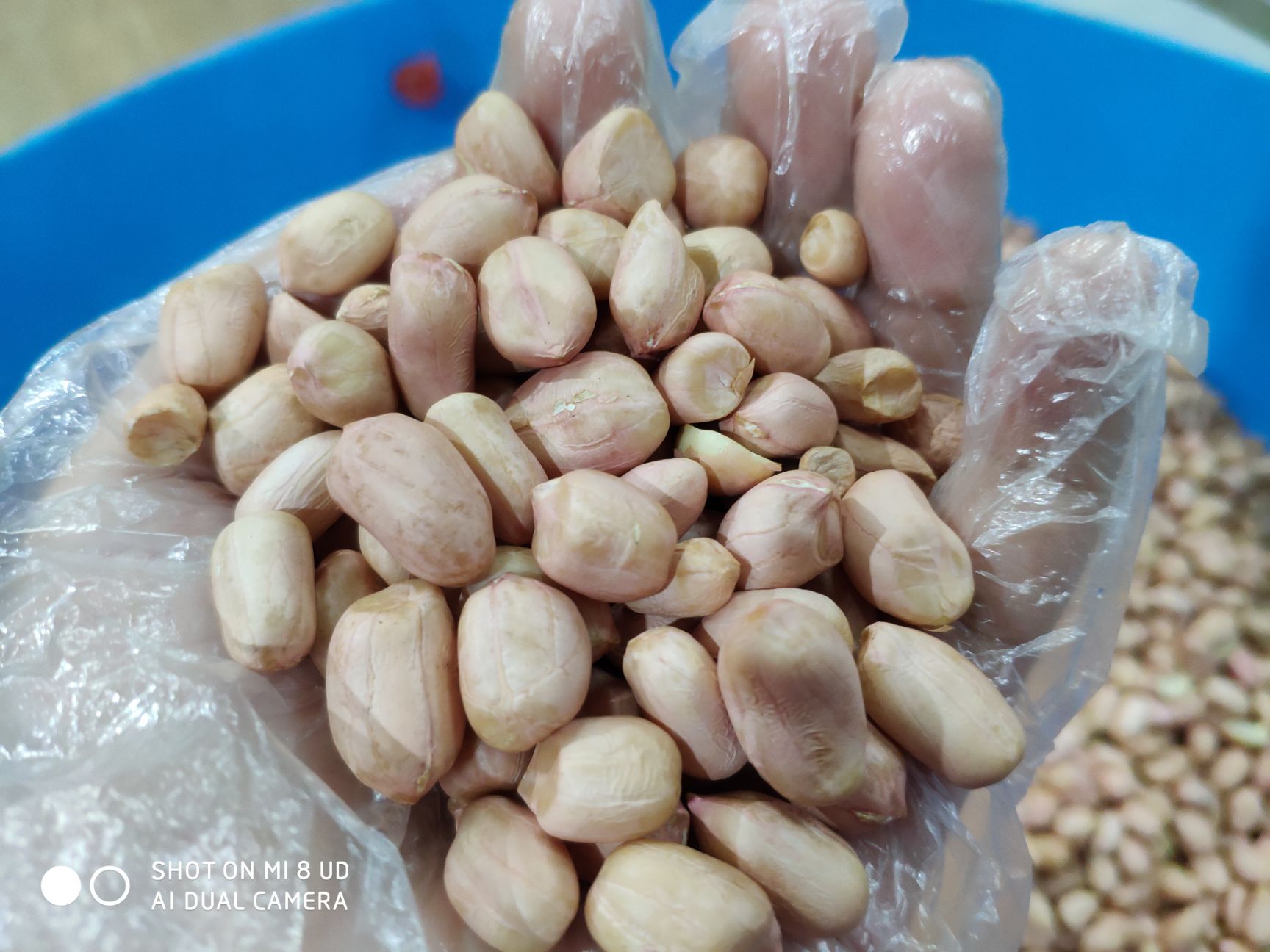 现榨熟榨一级农家花生油浓香！蒸熟炒熟现榨花生油真材实料