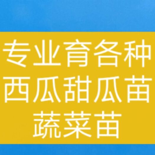 西农8号西瓜苗 嫁接苗 容器苗 2公分以下 0.2公分以上