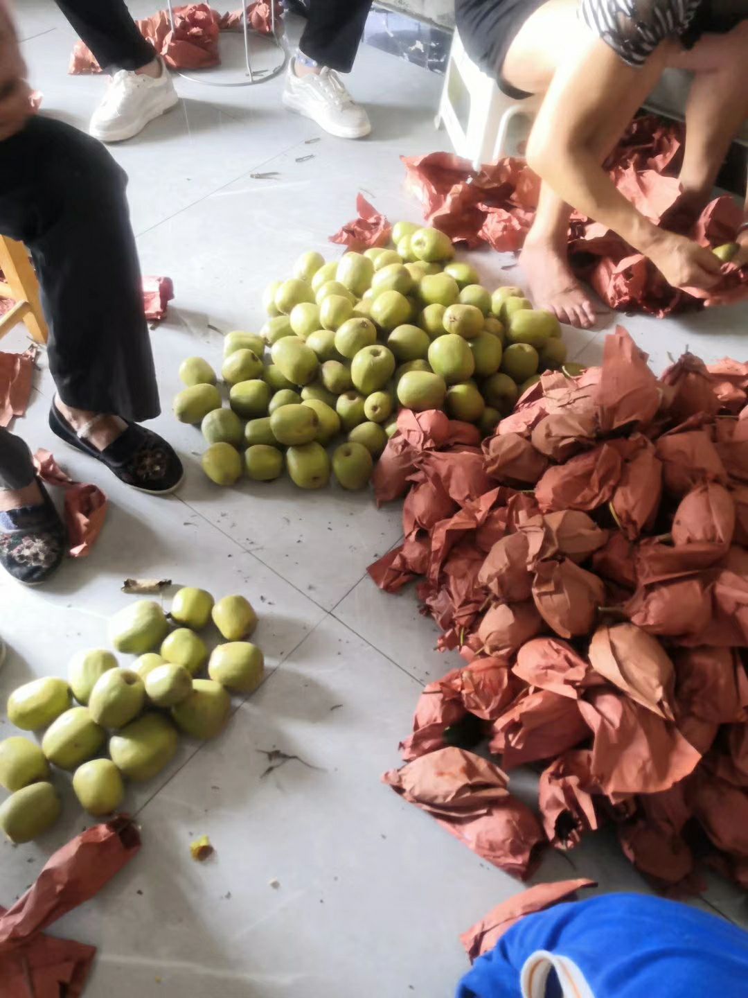  【优选】 红心❤猕猴桃  优惠处理全国包邮