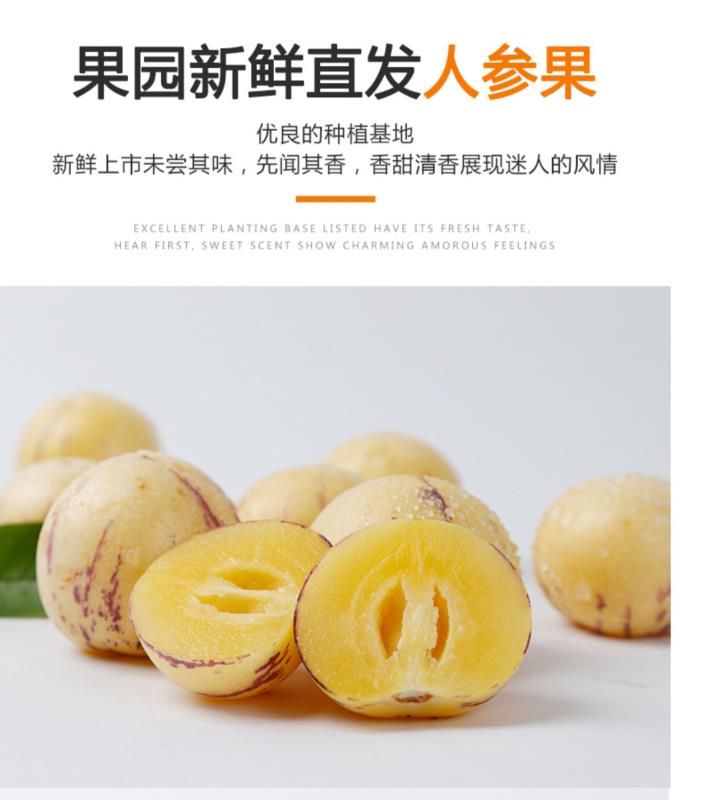  一级果 云南特产 石林人参果 圆果 5斤包邮 一件代发