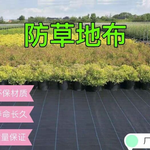 德州 防草布