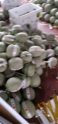 寿光市 玫珑瓜