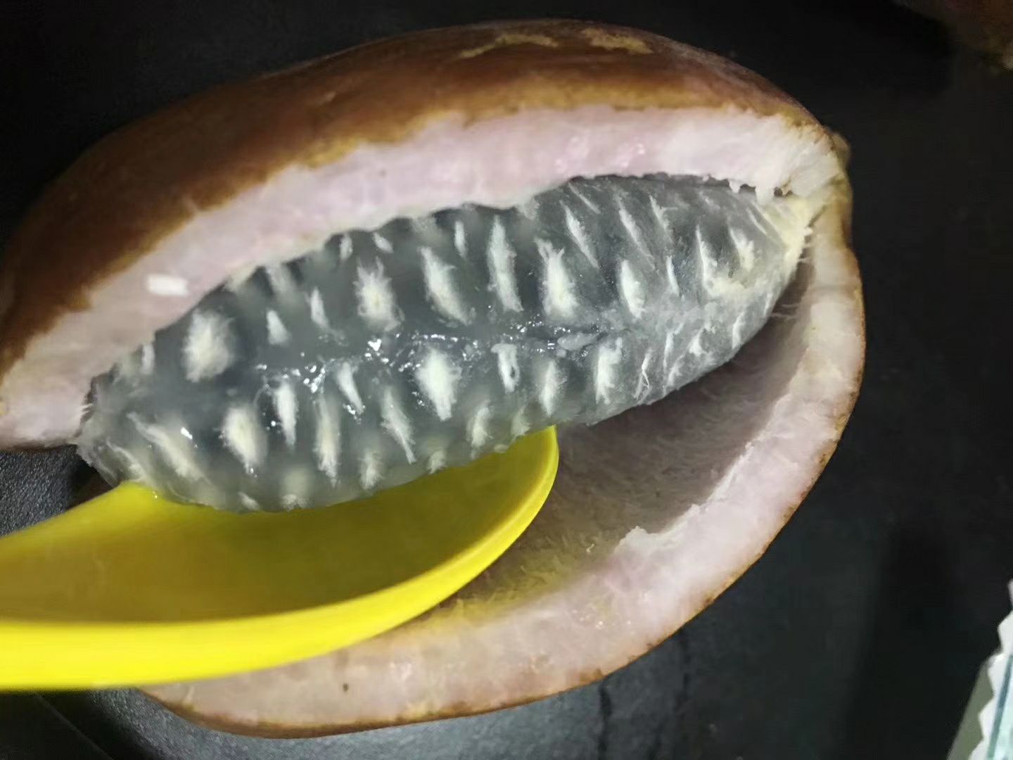 麻皮八月瓜 100-120g 野生