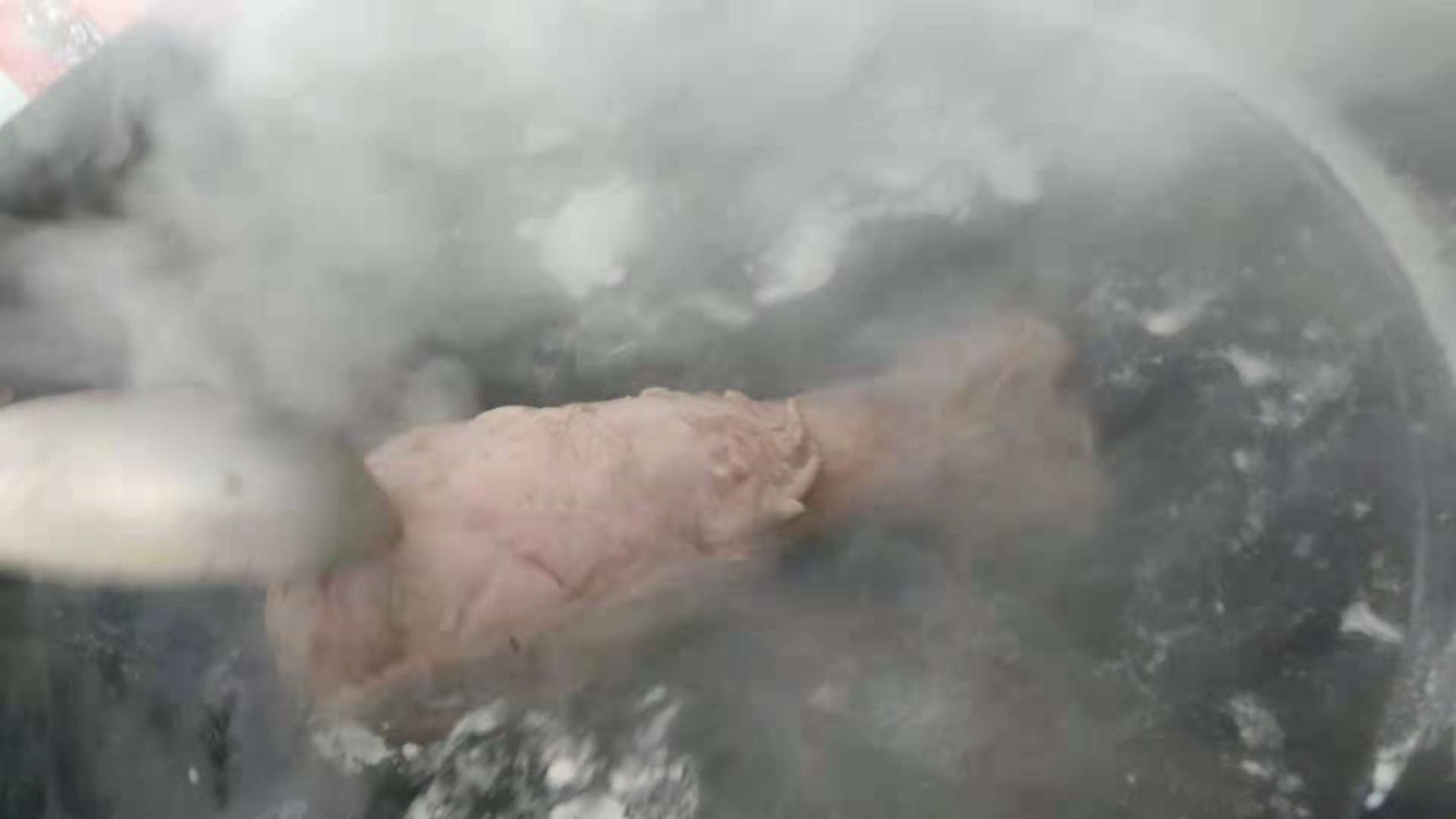 牛腿 二斤一个牛仔腿，婚宴用牛仔腿原味