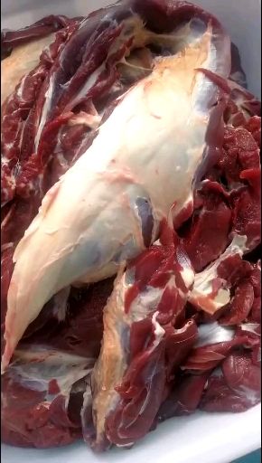 梅花鹿肉