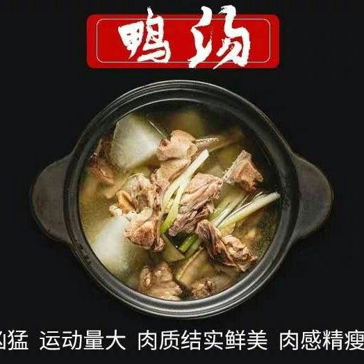  【现杀现发】农家土鸭麻鸭老鸭笨鸭鸭子新鲜鸭肉冷冻链发货