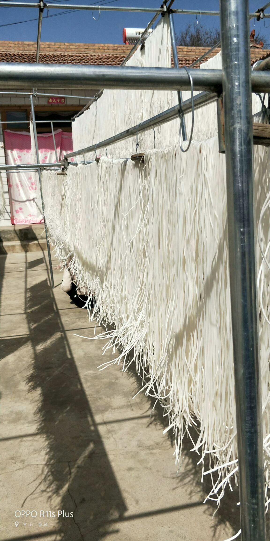  定西洋芋粉条，纯手工压制