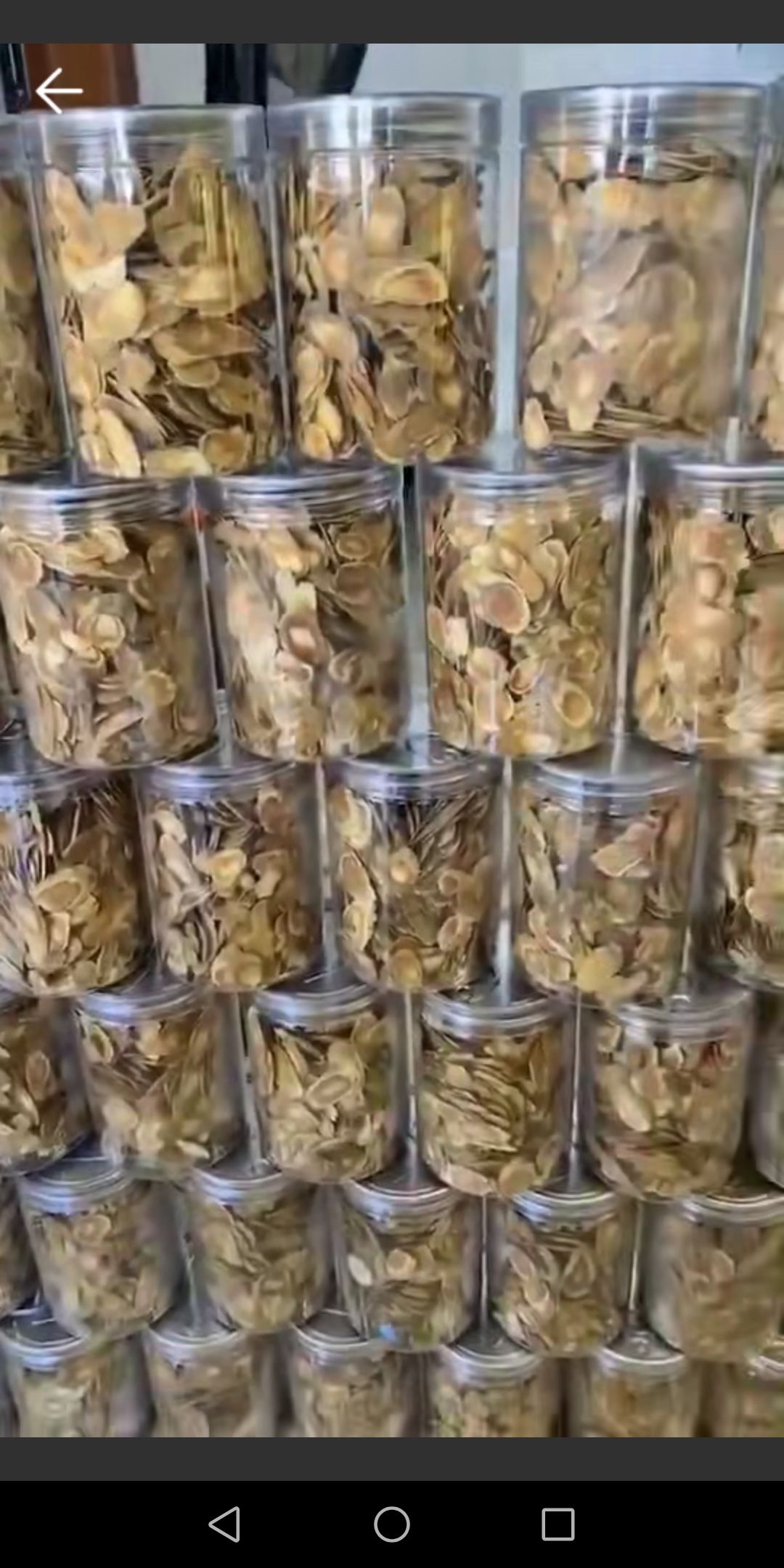  纯无糖红参参片