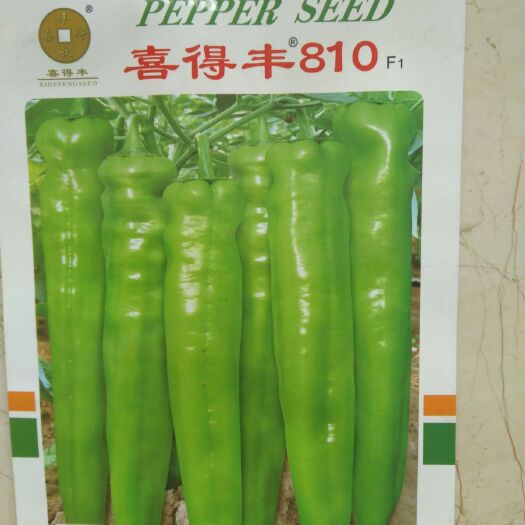 羊角椒种子  黄绿皮大果形羊角椒 果长26~35厘米