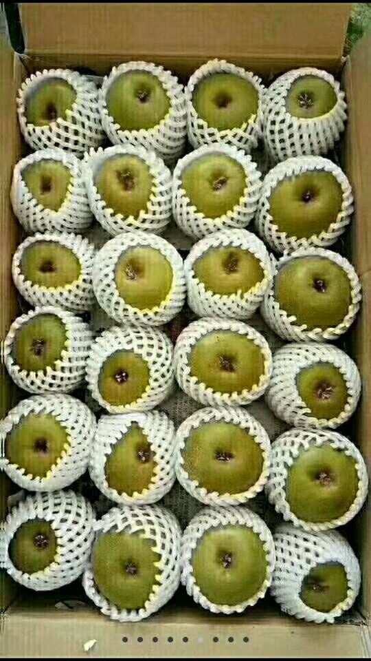  原产地苍溪红心猕猴桃已大量上市，有需要的老板可以随时联系我。