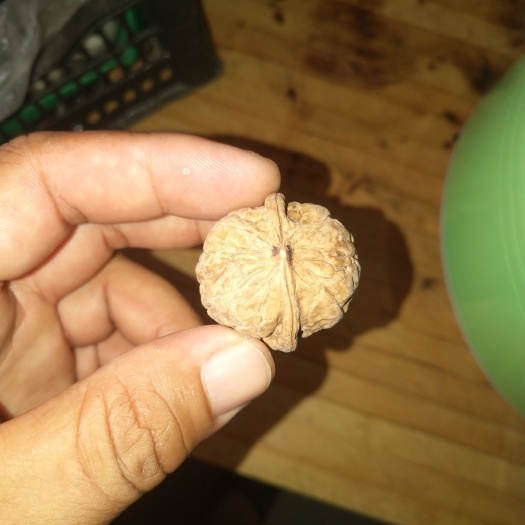 林州市 薄皮核桃