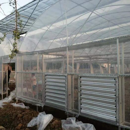 安吉县种植大棚 大棚厂家直销，专业定制，价格优惠，欢迎咨询选购