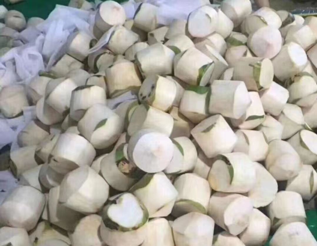 包邮海南椰青椰子9个装