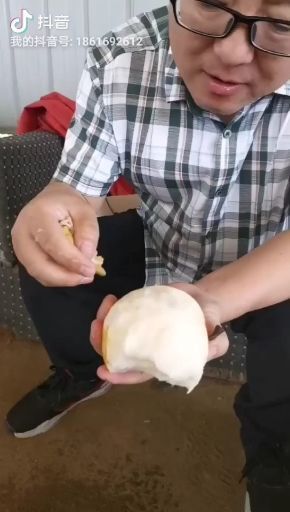 莱西市华山梨 秋月南水华山丰水黄金
