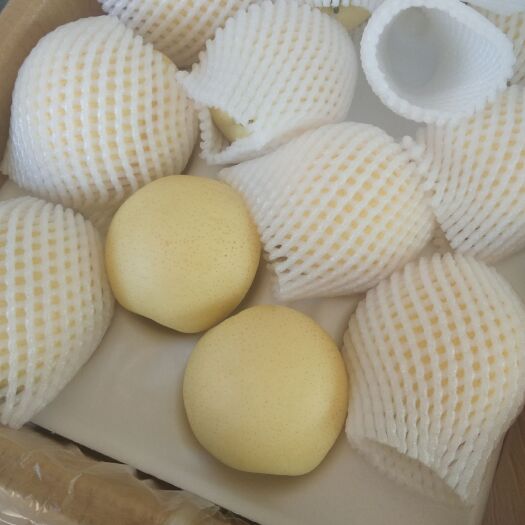 赵县 专业供应中秋节皇冠梨，价格低质量高，各种包装