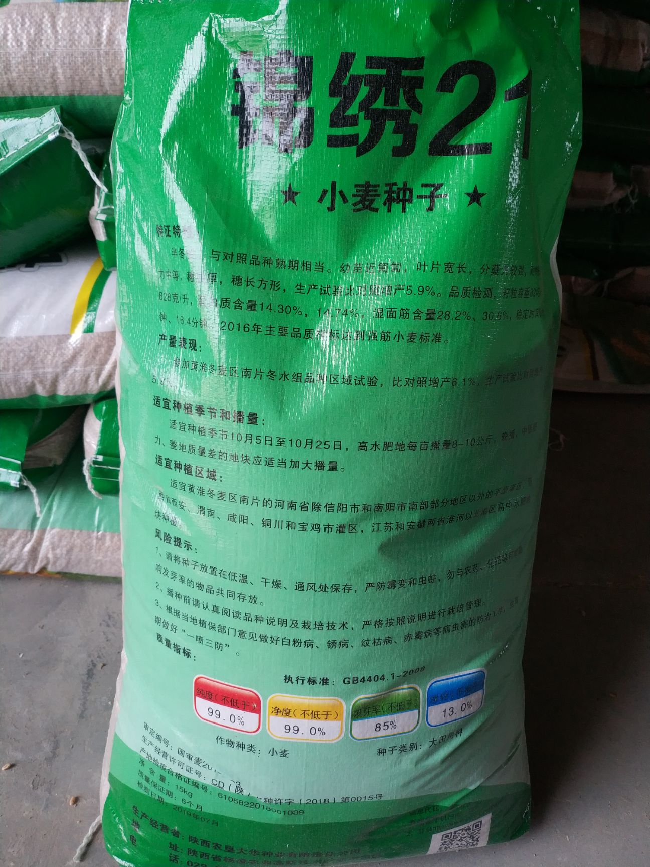 小麦种子 关中地区小麦种