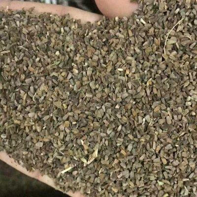 巴林左旗 野生益母草种子