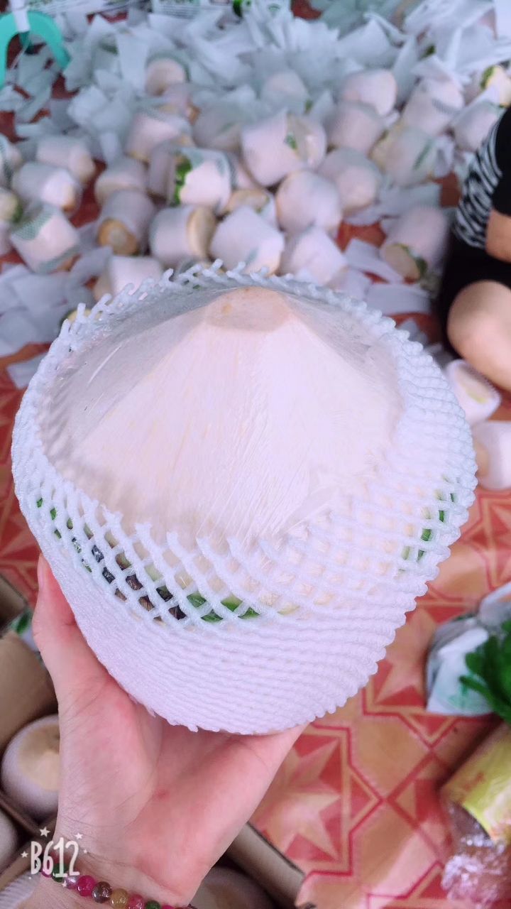 包邮海南椰青椰子9个装