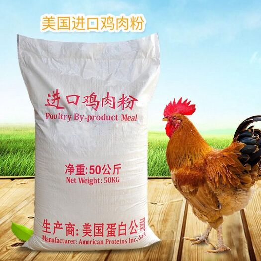 海兴县鸡骨粉 鸡肉粉