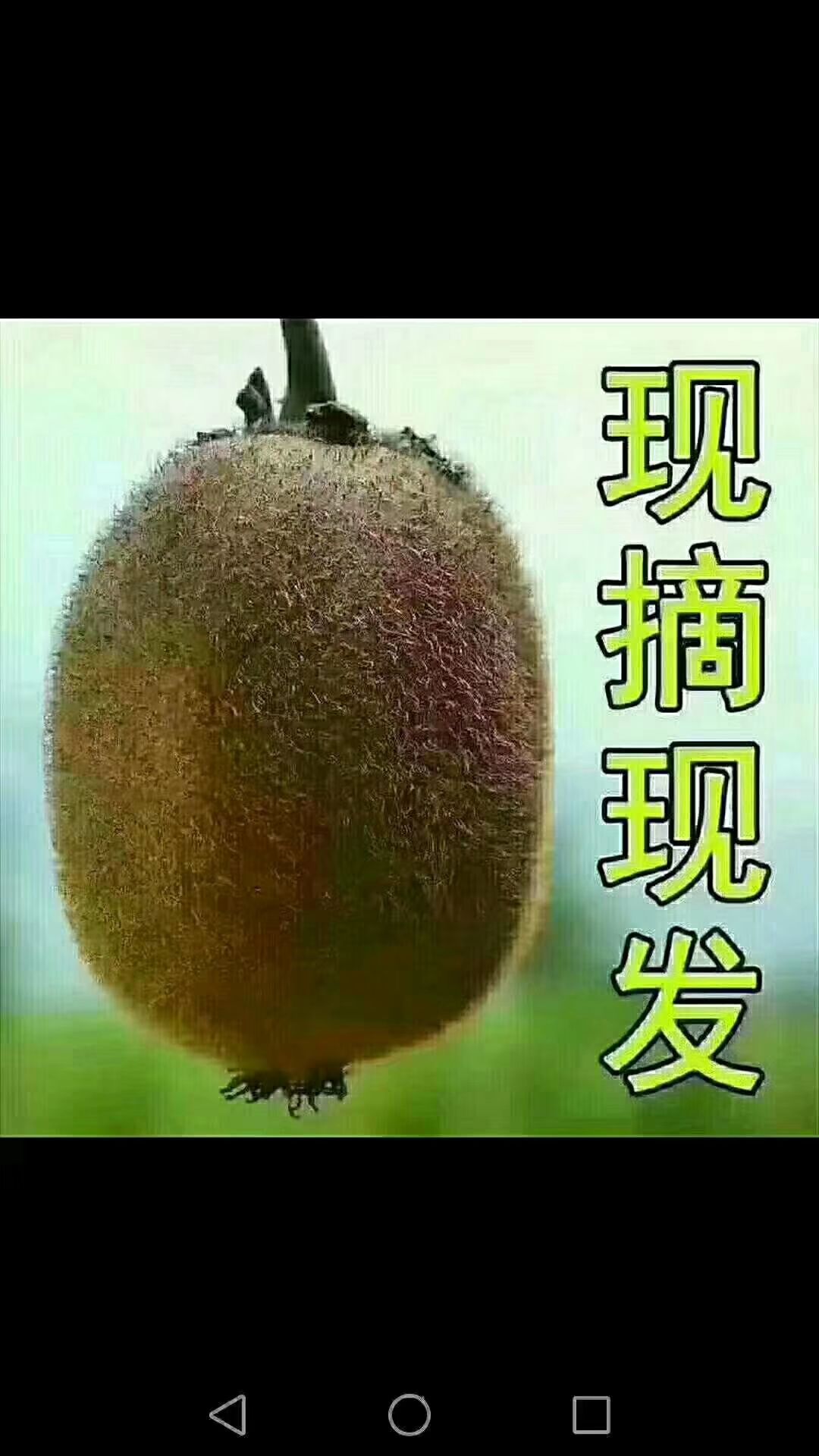  秦岭猕猴桃，现摘现发