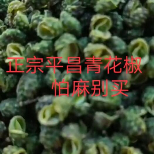 平昌县 特级金品平昌青花椒藤椒麻椒基地直供，品质保证，3斤包邮。