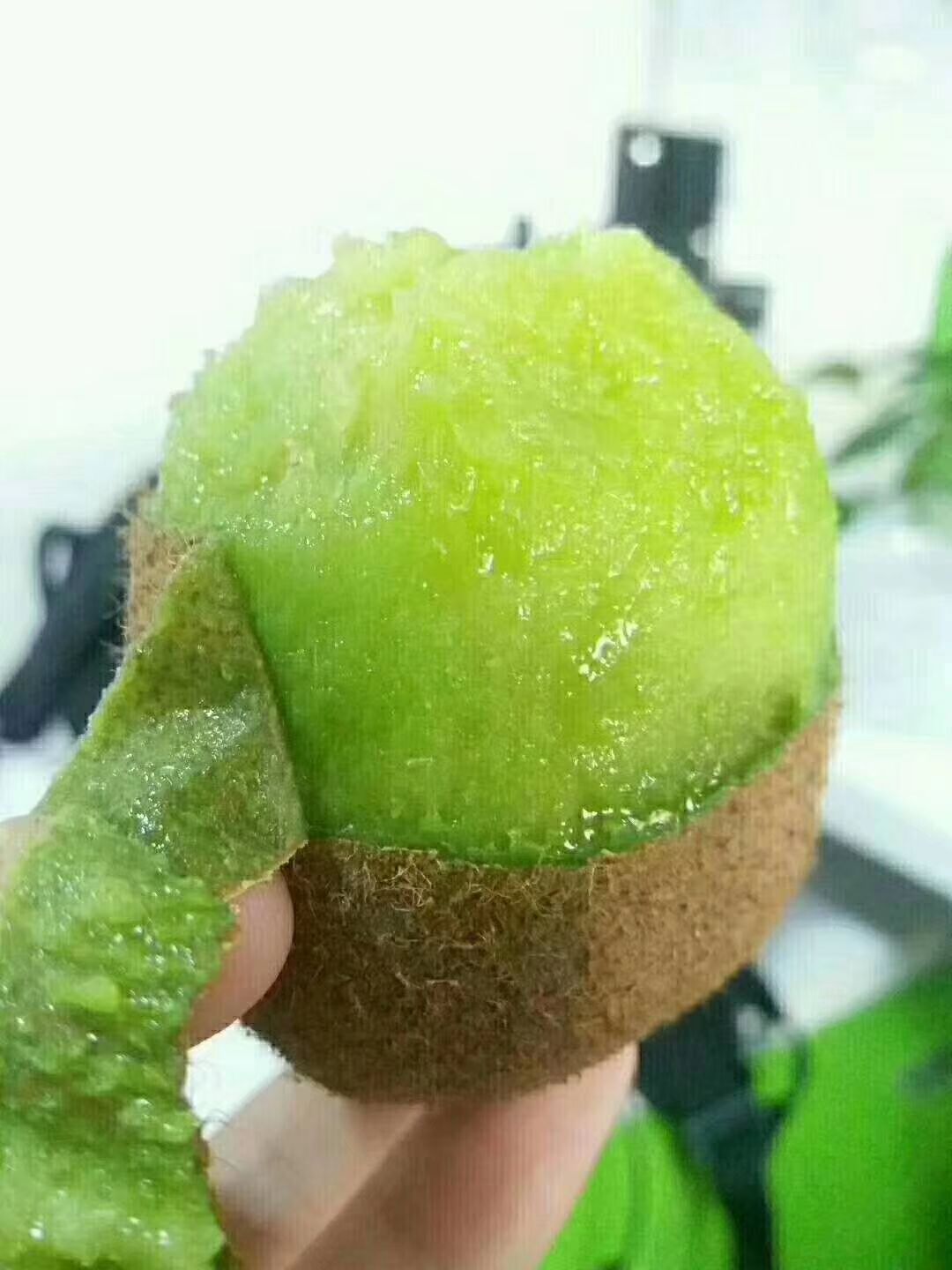  秦岭猕猴桃，现摘现发
