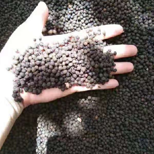 江华县荜茇 荜澄茄