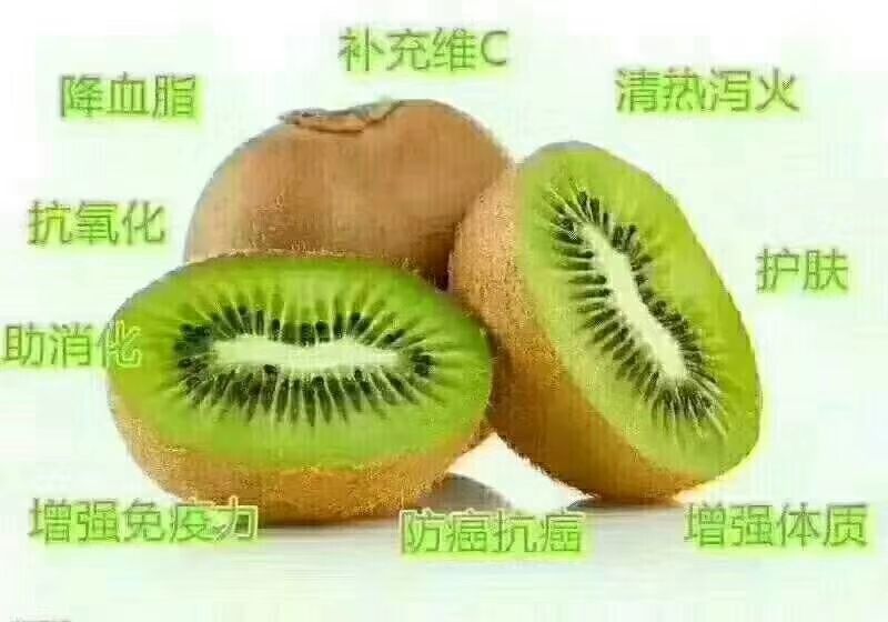  秦岭猕猴桃，现摘现发