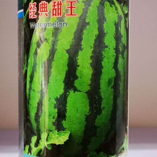 新民市 高端甜王，地雷西瓜种子