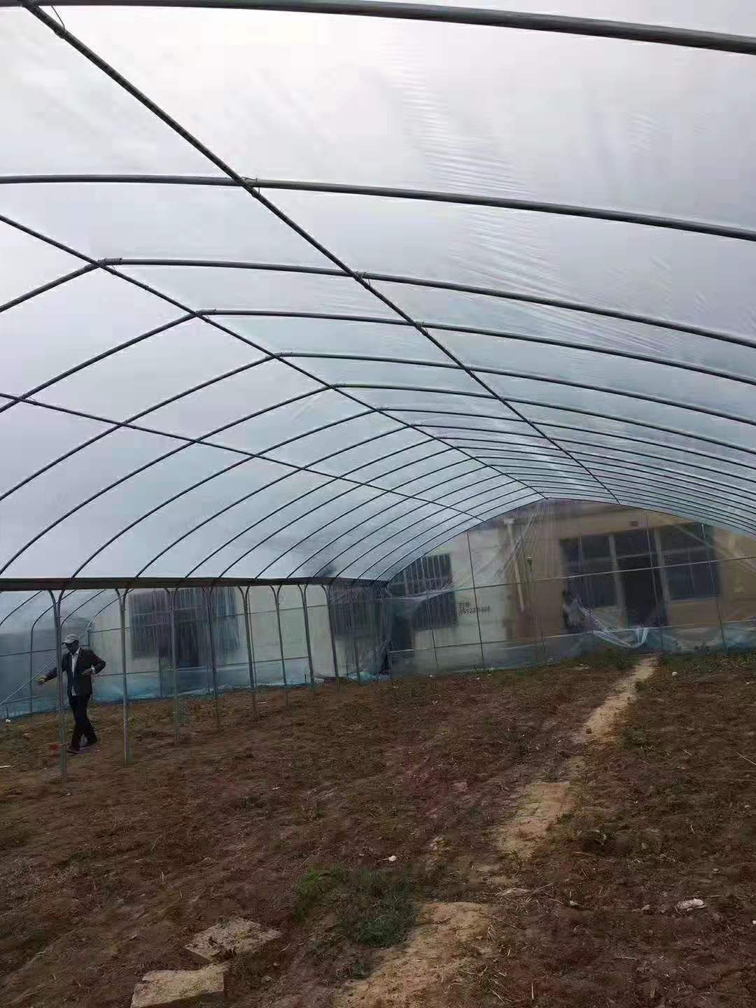 种植大棚 种植棚