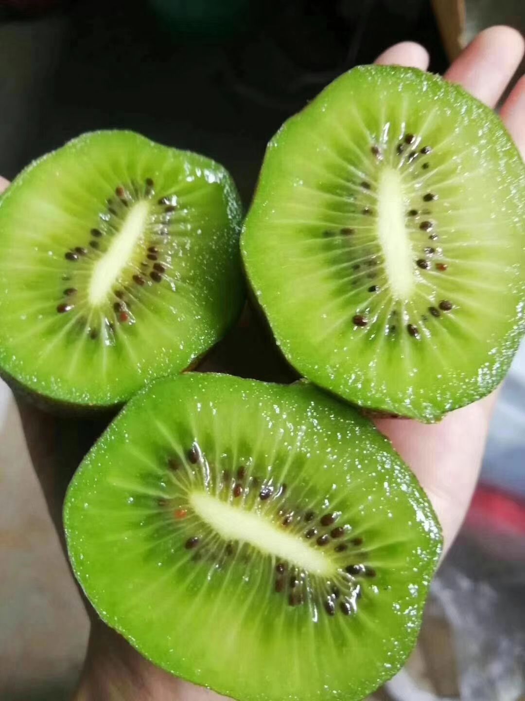  博山源泉猕猴桃