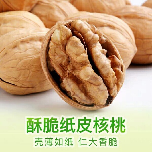平邑县薄皮核桃苗 8518薄皮核桃嫁接苗，基地保湿发货，自产自销。