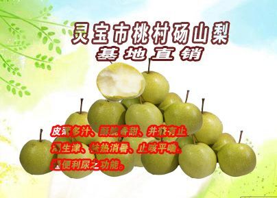 灵宝市 砀山梨