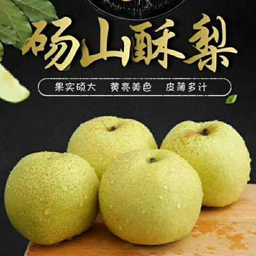 砀山县 砀山酥梨，果好价优，速速抢占先机
