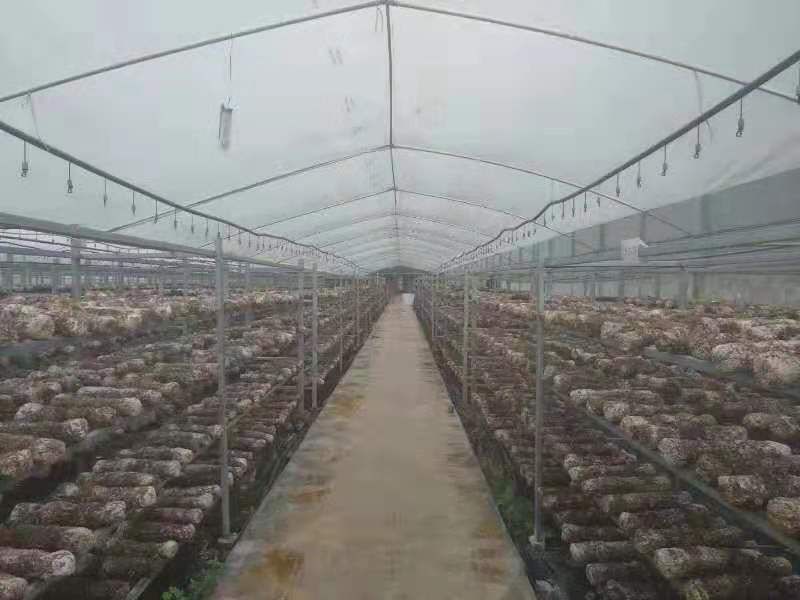 种植大棚 种植棚