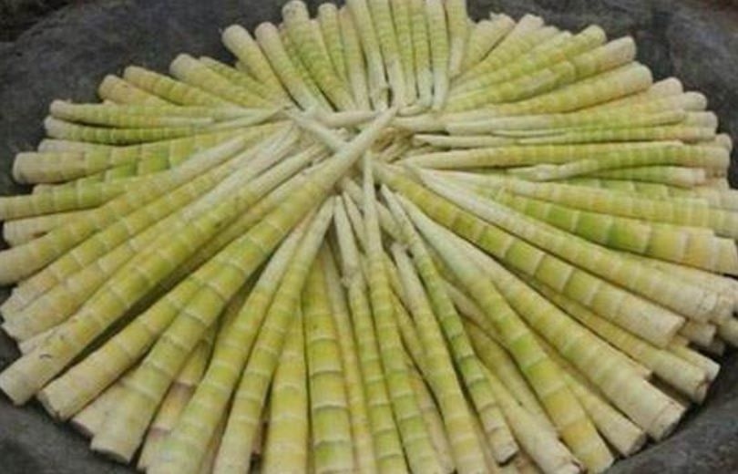 桐梓县 方竹笋大量批发