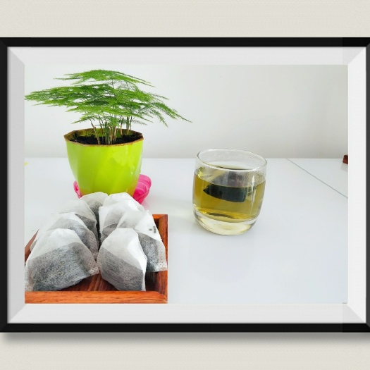 五峰县蛋白桑桑叶茶