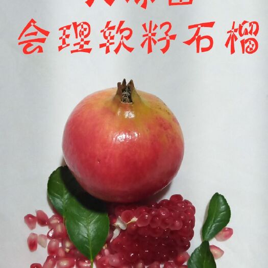 会理市 新鲜采摘果园直发 大凉山会理软籽石榴红似火甜如蜜好吃不上火