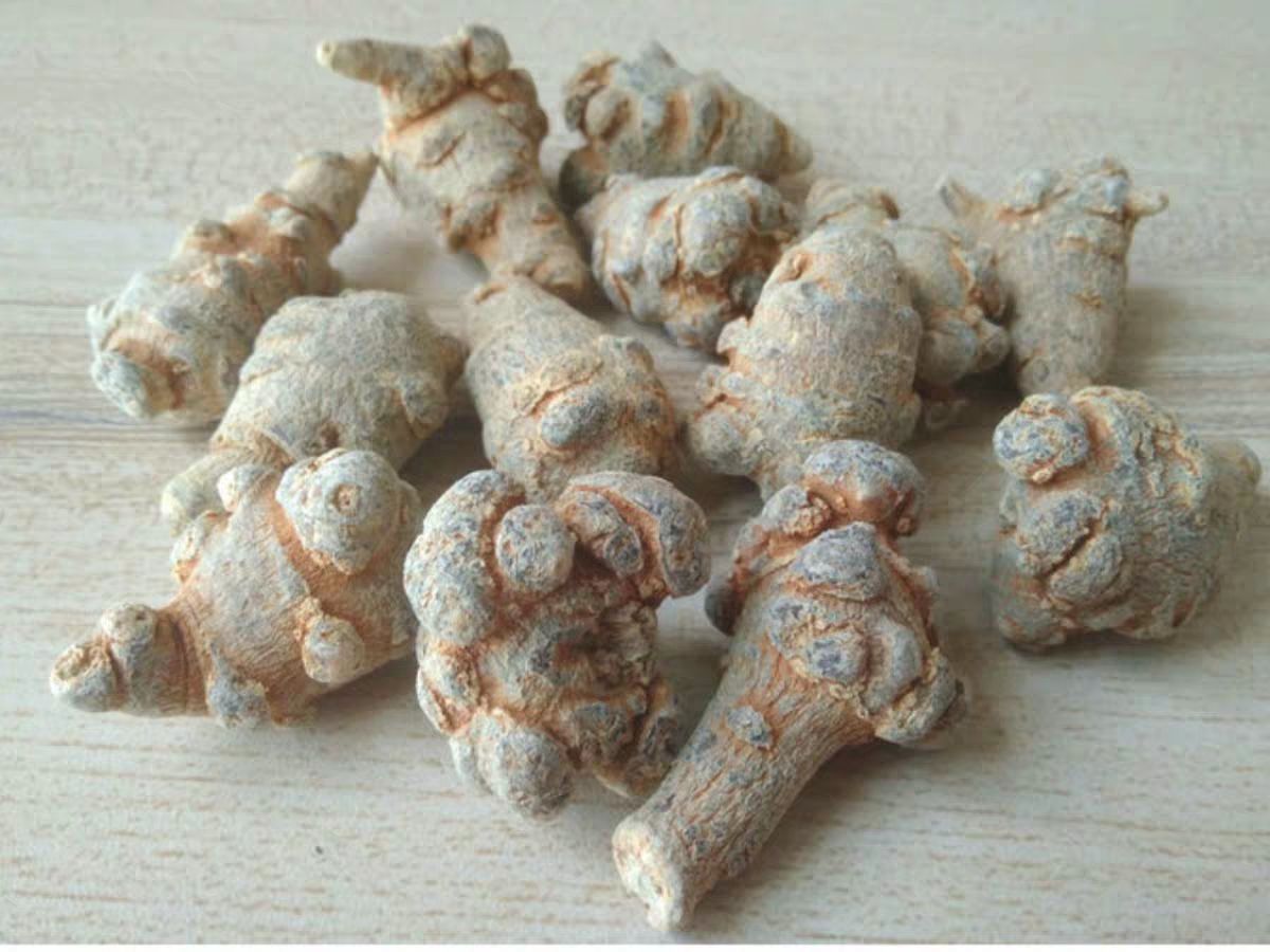  30头 云南文山三七特级