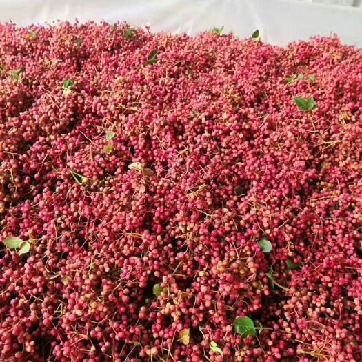富平县 陕西富平花椒