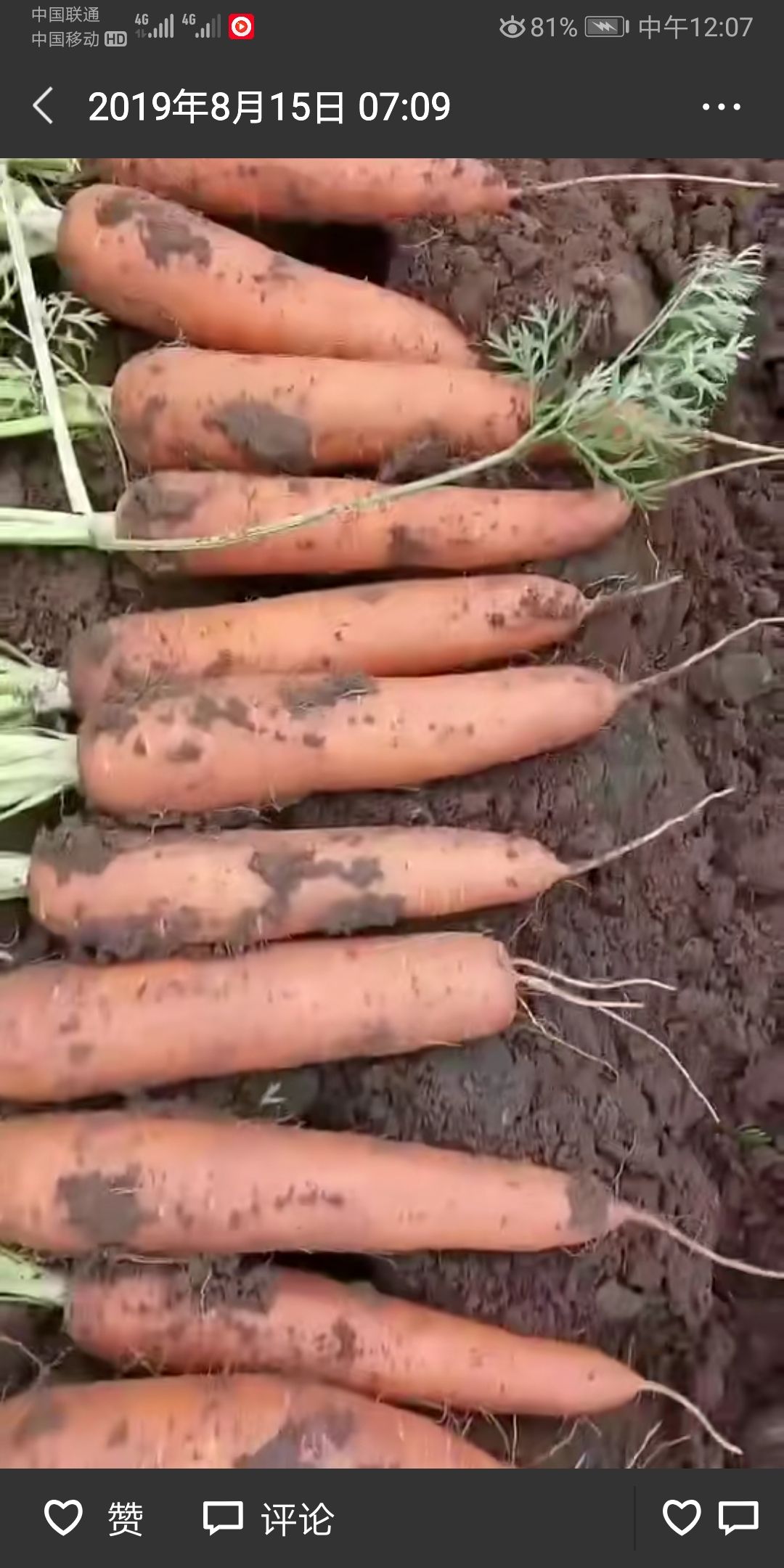 农产品批发供应商苗贺伟 - 惠农网电脑版