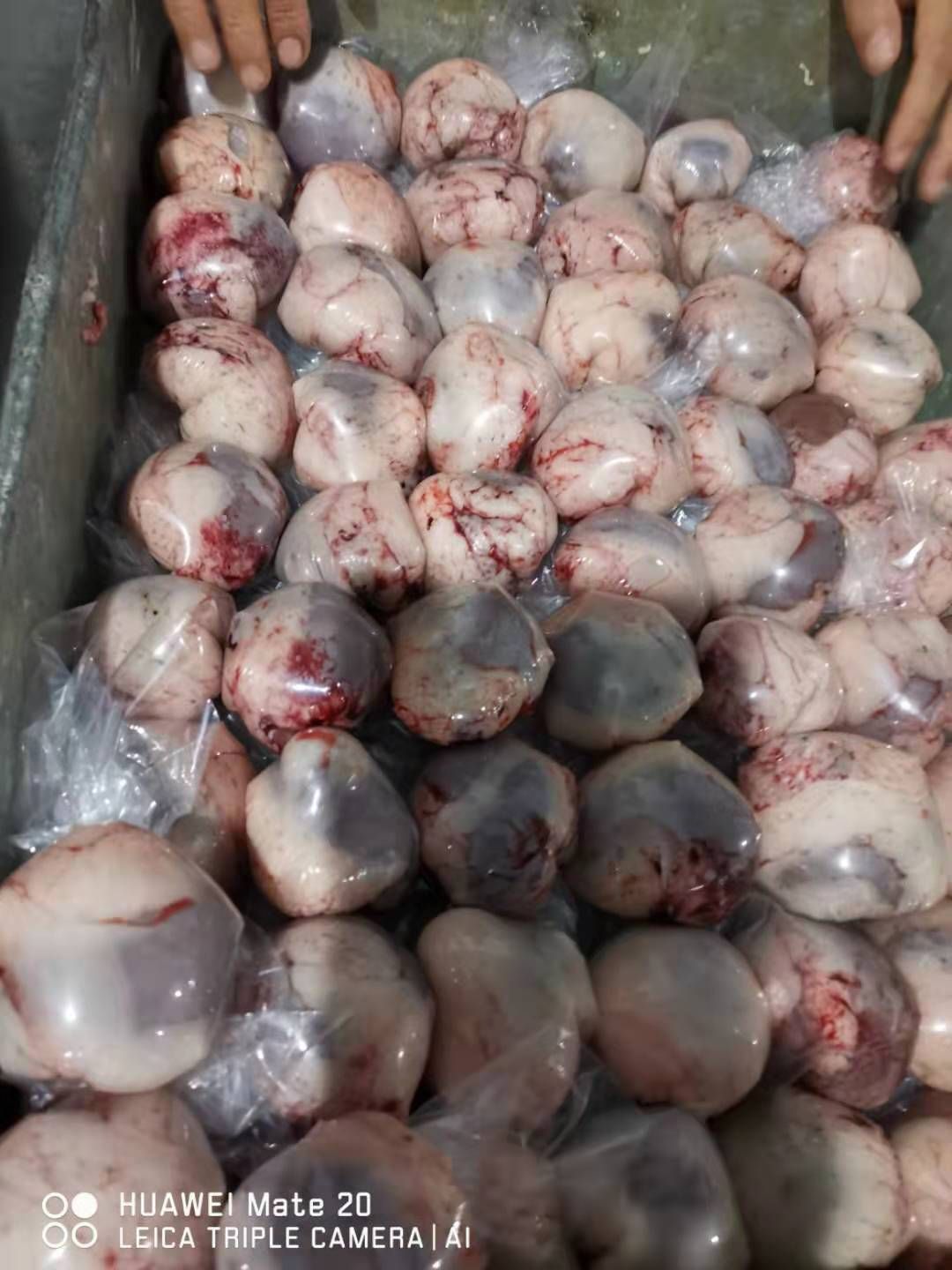 锡林浩特烧烤店原油羊腰子