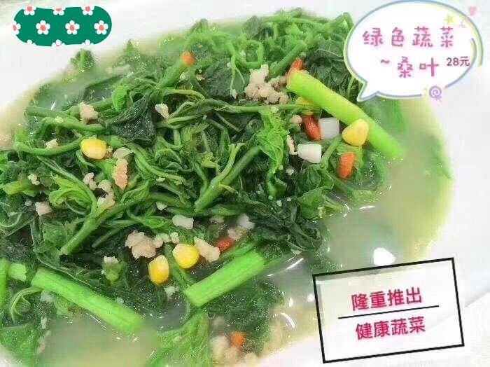 英德市速冻蔬果  养生菜，桑牙菜，桑叶菜