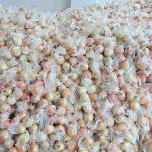 蒙自市 大量供应蒙自甜石榴