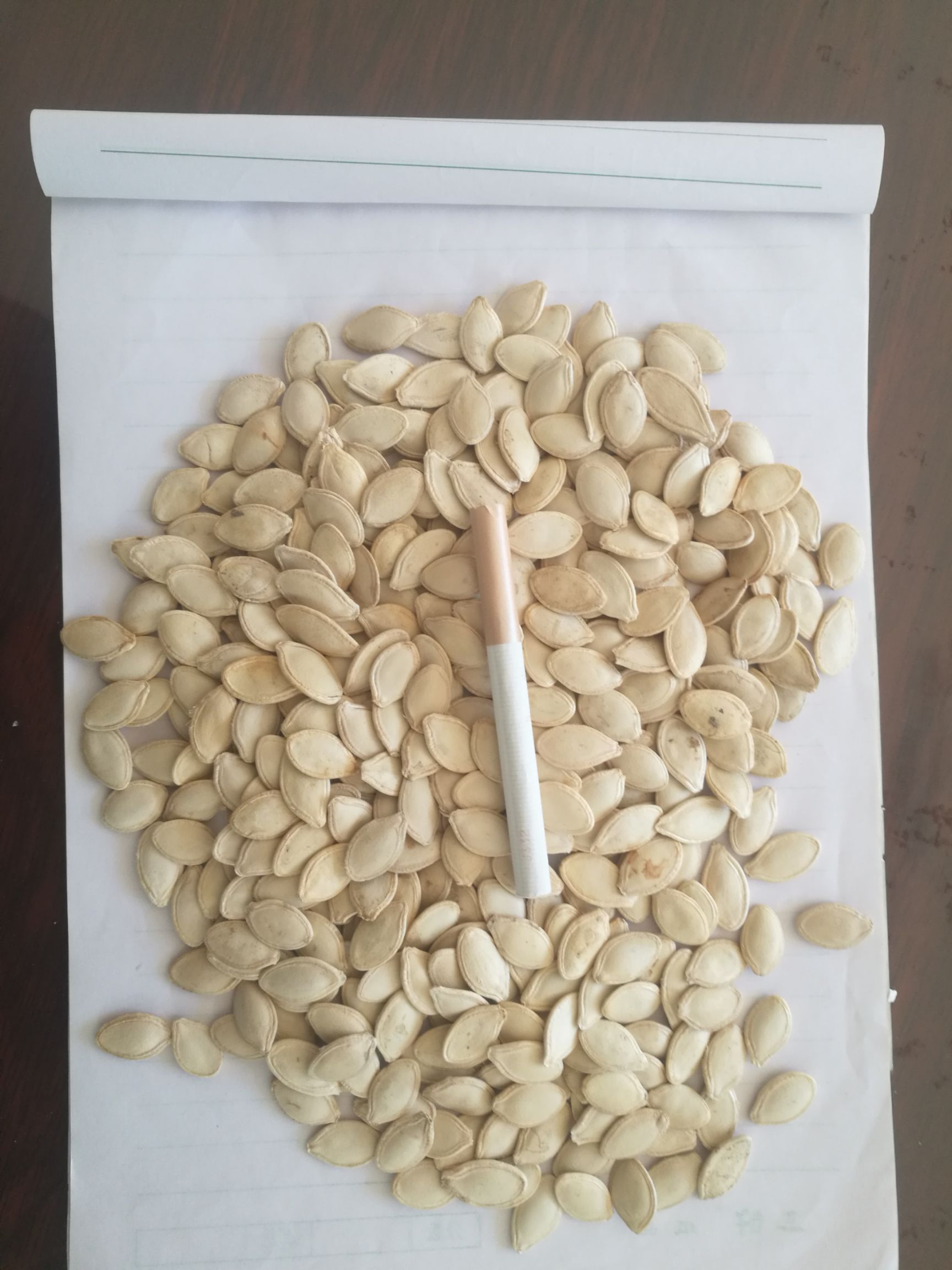 西葫芦籽 依靠质量求生存