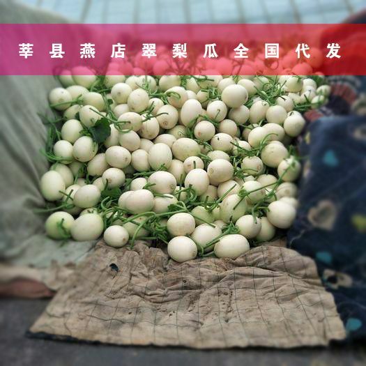  本地翠梨甜瓜，现采摘现发货，山东蔬菜瓜果供应商