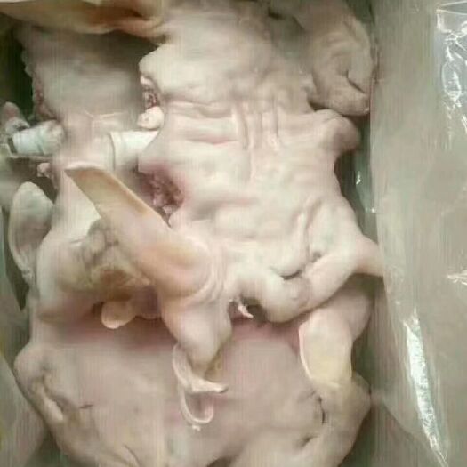 中牟县羊头  精品肉