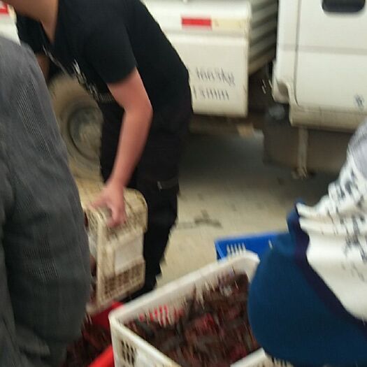 潜江市中国虾谷小龙虾批发